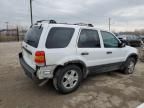 2001 Ford Escape XLT