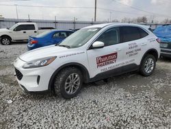 Salvage cars for sale from Copart Cahokia Heights, IL: 2021 Ford Escape SE