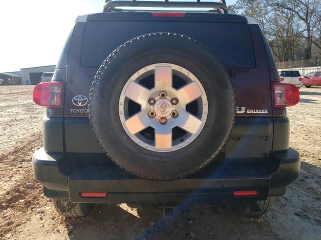 2007 Toyota FJ Cruiser