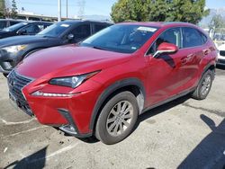 Salvage cars for sale from Copart Rancho Cucamonga, CA: 2021 Lexus NX 300 Base