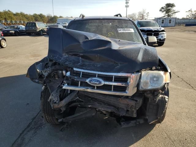 2009 Ford Escape XLT