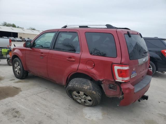 2011 Ford Escape Limited