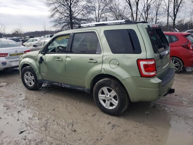 2008 Ford Escape HEV