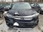 2020 Honda Pilot EXL