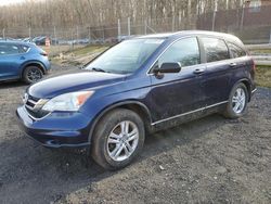 Salvage cars for sale from Copart Finksburg, MD: 2011 Honda CR-V EX