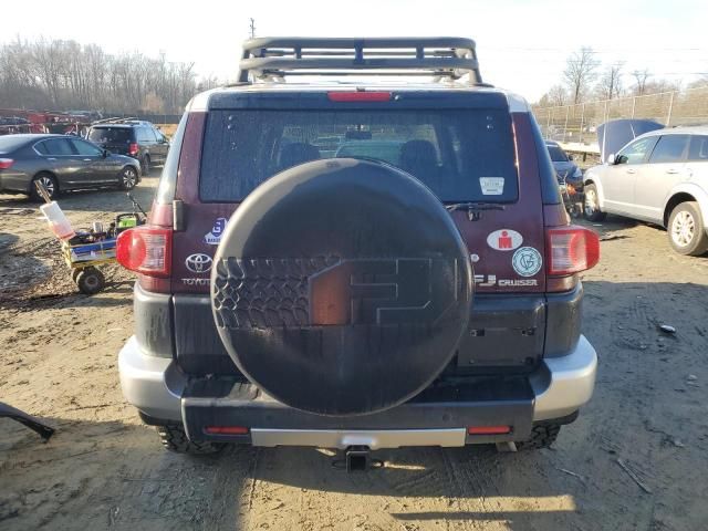 2007 Toyota FJ Cruiser