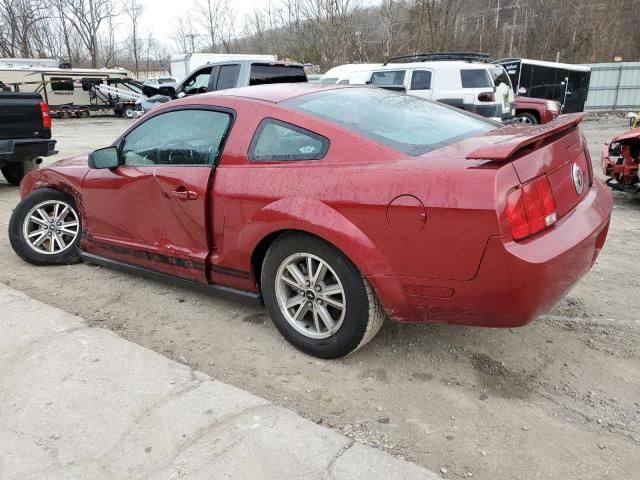 2005 Ford Mustang