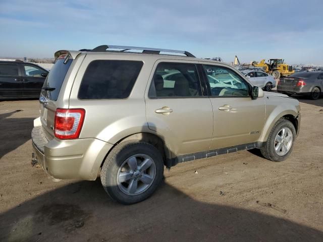 2011 Ford Escape Limited