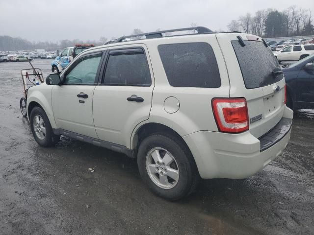 2009 Ford Escape XLT