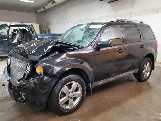 2010 Ford Escape Limited