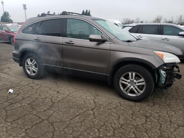 2010 Honda CR-V EXL