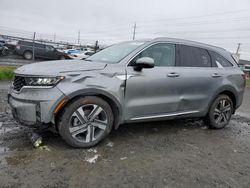 KIA Sorento EX salvage cars for sale: 2023 KIA Sorento EX