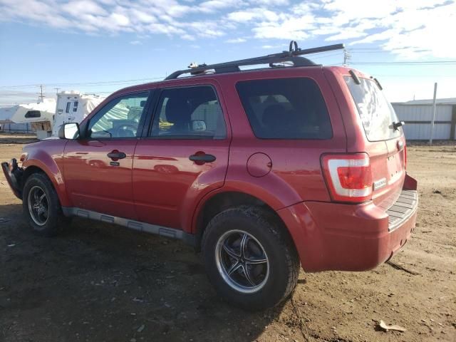 2009 Ford Escape XLT