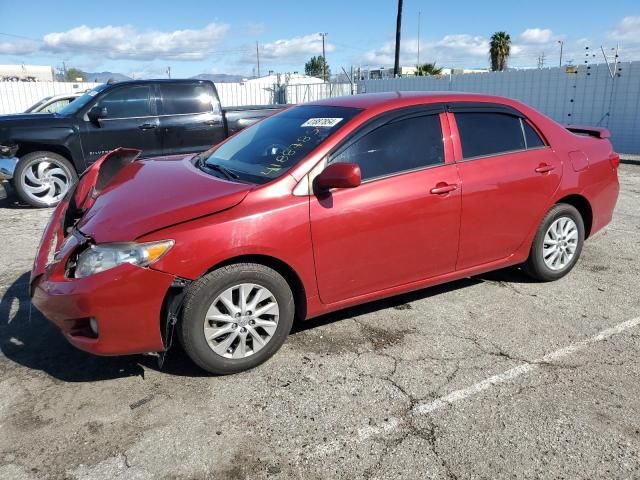 2010 Toyota Corolla Base