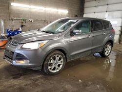 Salvage cars for sale at Angola, NY auction: 2013 Ford Escape SEL