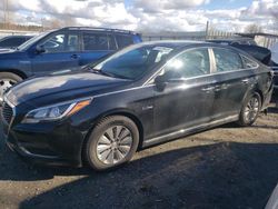 Salvage cars for sale from Copart Arlington, WA: 2017 Hyundai Sonata Hybrid