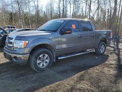 Salvage cars for sale from Copart Bowmanville, ON: 2014 Ford F150 Supercrew