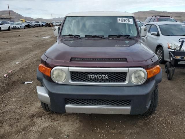 2007 Toyota FJ Cruiser