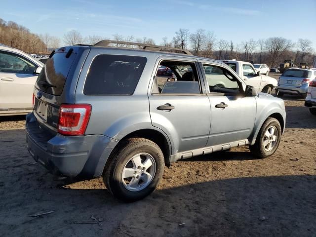 2010 Ford Escape XLT