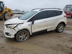 Ford salvage cars for sale: 2019 Ford Escape SEL