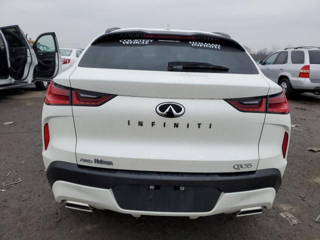 2023 Infiniti QX55 Luxe