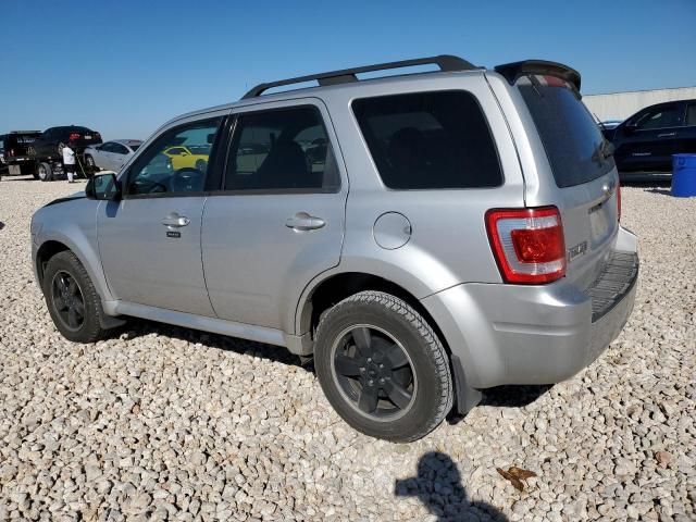 2010 Ford Escape XLT