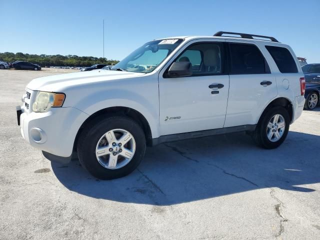 2011 Ford Escape Hybrid