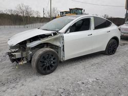 Salvage cars for sale from Copart Cartersville, GA: 2023 Tesla Model Y