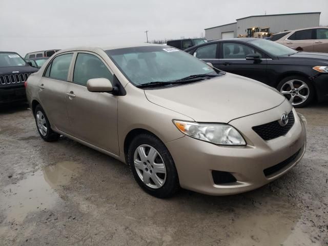 2010 Toyota Corolla Base