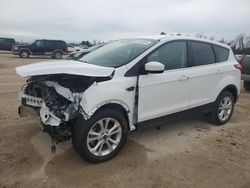 Vehiculos salvage en venta de Copart Houston, TX: 2019 Ford Escape SE