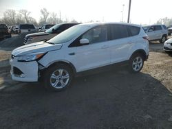 Ford Escape SE salvage cars for sale: 2016 Ford Escape SE