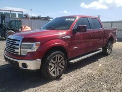 Ford f150 Supercrew Vehiculos salvage en venta: 2013 Ford F150 Supercrew