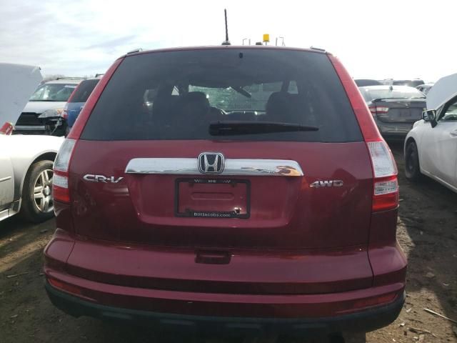 2010 Honda CR-V EXL