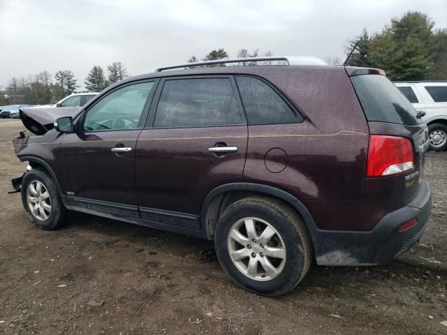 2011 KIA Sorento Base