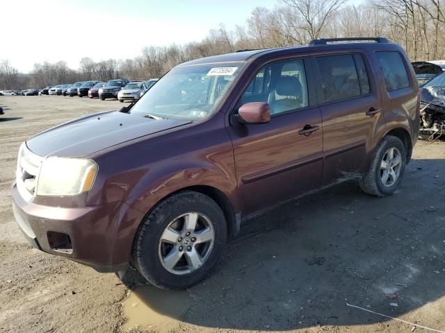 2010 Honda Pilot EXL