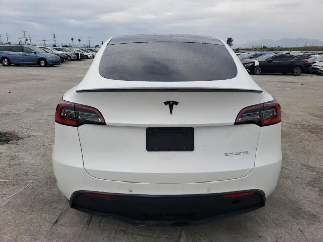 2020 Tesla Model Y