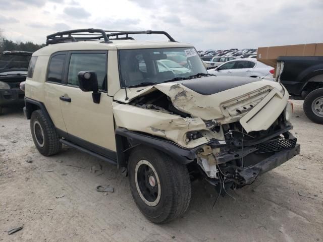 2010 Toyota FJ Cruiser