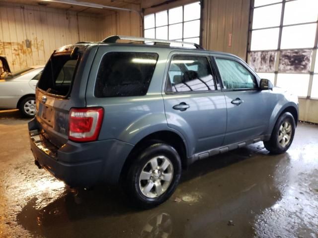 2010 Ford Escape Limited