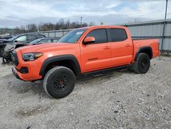 Salvage cars for sale at Lawrenceburg, KY auction: 2023 Toyota Tacoma Double Cab