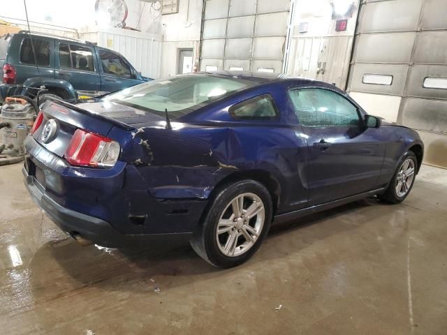 2010 Ford Mustang