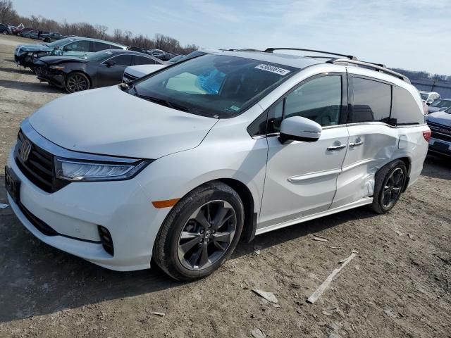 2023 Honda Odyssey Elite