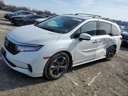 Honda Odyssey salvage cars for sale: 2023 Honda Odyssey Elite