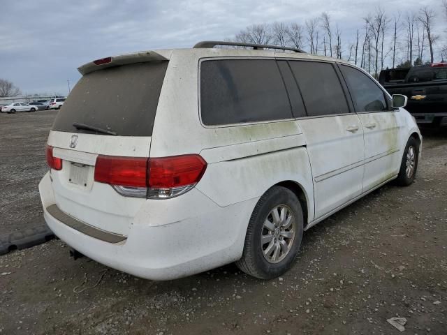 2008 Honda Odyssey EXL