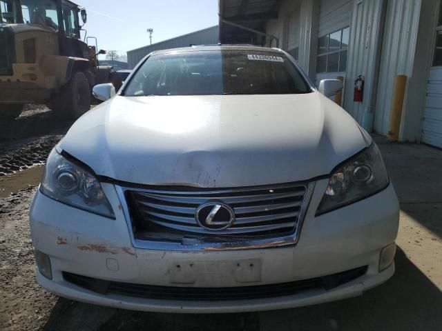 2010 Lexus ES 350