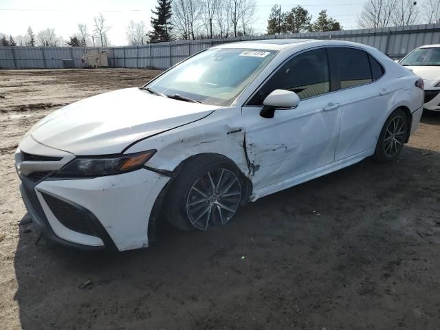 2021 Toyota Camry XLE