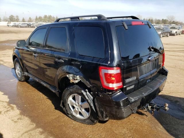 2010 Ford Escape XLT