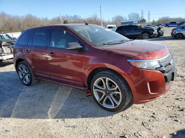 2014 Ford Edge Sport