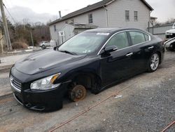 Salvage cars for sale from Copart York Haven, PA: 2011 Nissan Maxima S