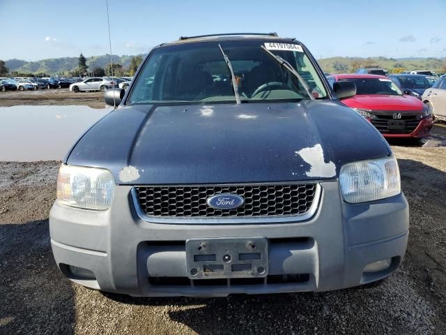 2003 Ford Escape XLT