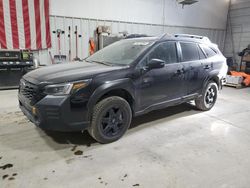 Salvage cars for sale at Des Moines, IA auction: 2023 Subaru Outback Wilderness